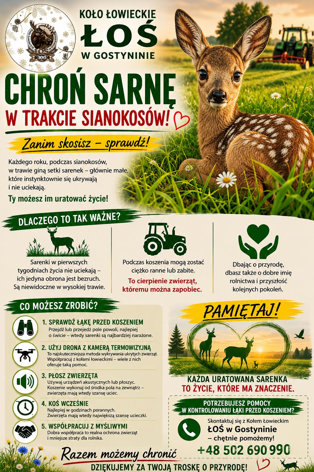 Chroń sarnę